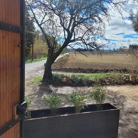 Gite « Domaine De L'Oustal Nau » Peyriac-de-Mer Exterior foto